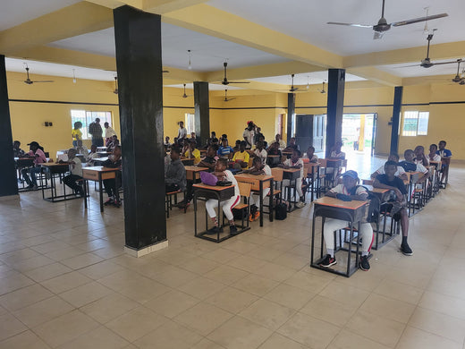 野球ビジネスをナイジェリアで!!(^_-)-☆孤軍奮闘の開始(-。-)y-゜゜゜